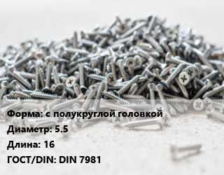 Шуруп с полукруглой головкой 5.5х16 ГОСТ: DIN 7981, шт цена По запросу где купить, условия доставки в Костанае и Костанайской области
